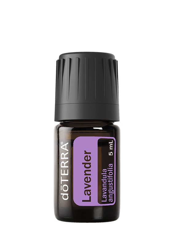 Lavender essential oil 