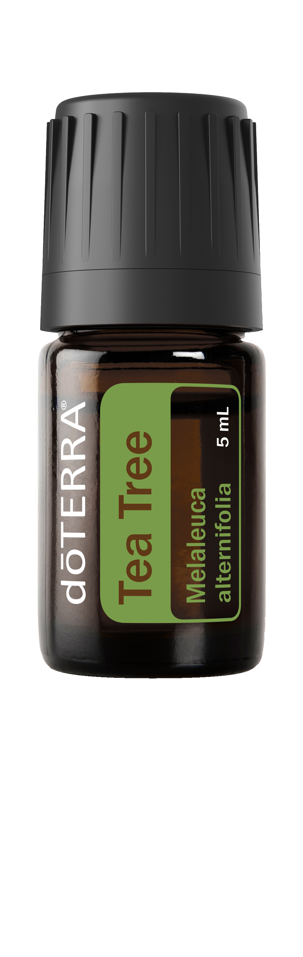 tea tree essential oil 